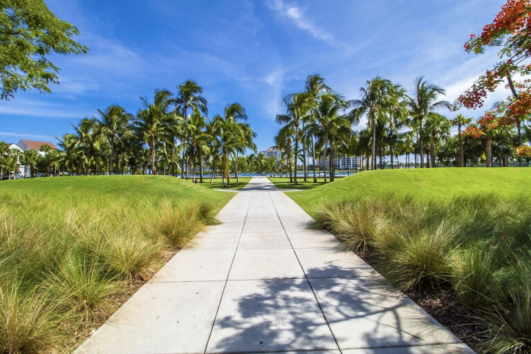 A Look into South Florida’s Real Estate Market