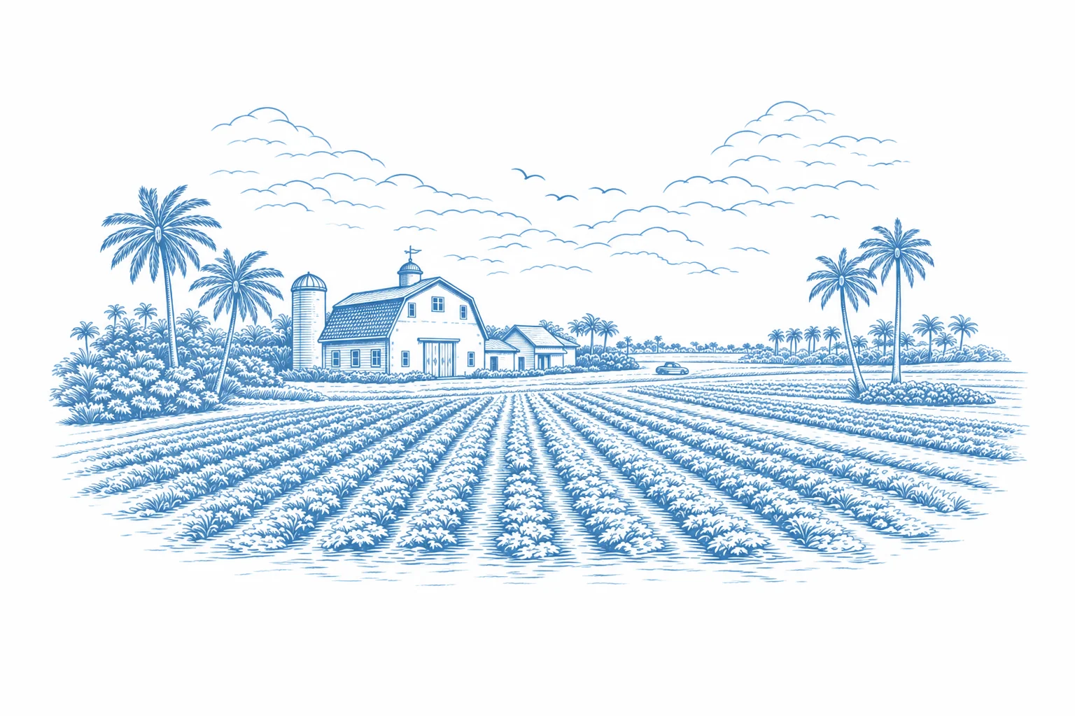 Light blue illustration of Homestead farmland and palm trees